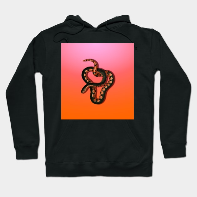 Colorful entangled snake Hoodie by Nosa rez